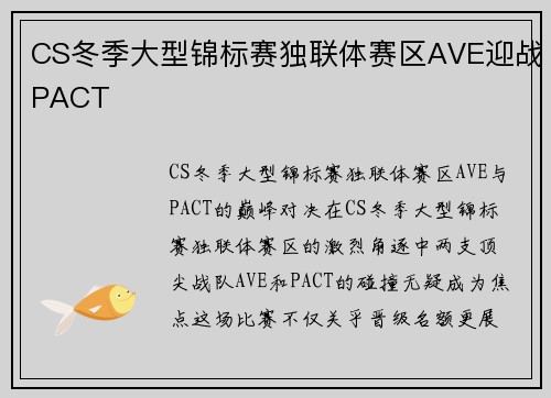 CS冬季大型锦标赛独联体赛区AVE迎战PACT