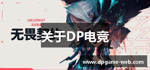 关于DP电竞